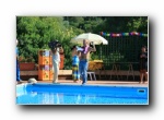 Fai Click per ingrandire